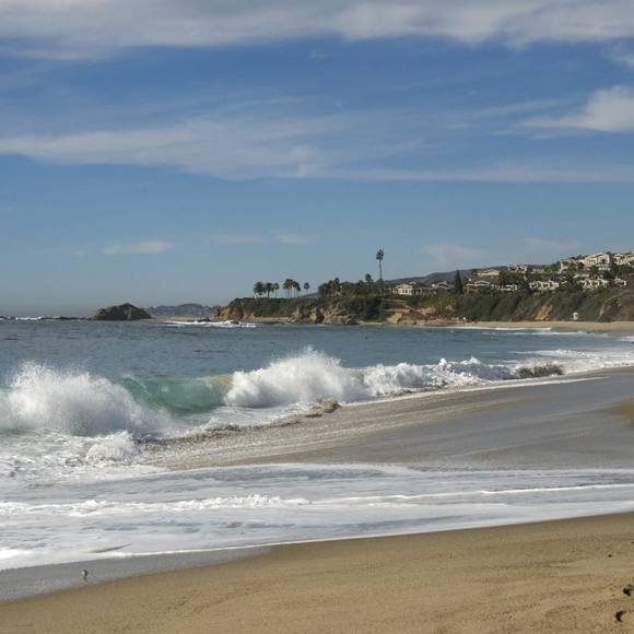 Meet your Posher, Rosalina - Picture 1 of 1